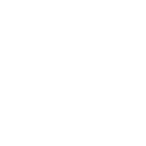 The Jolly Flipper